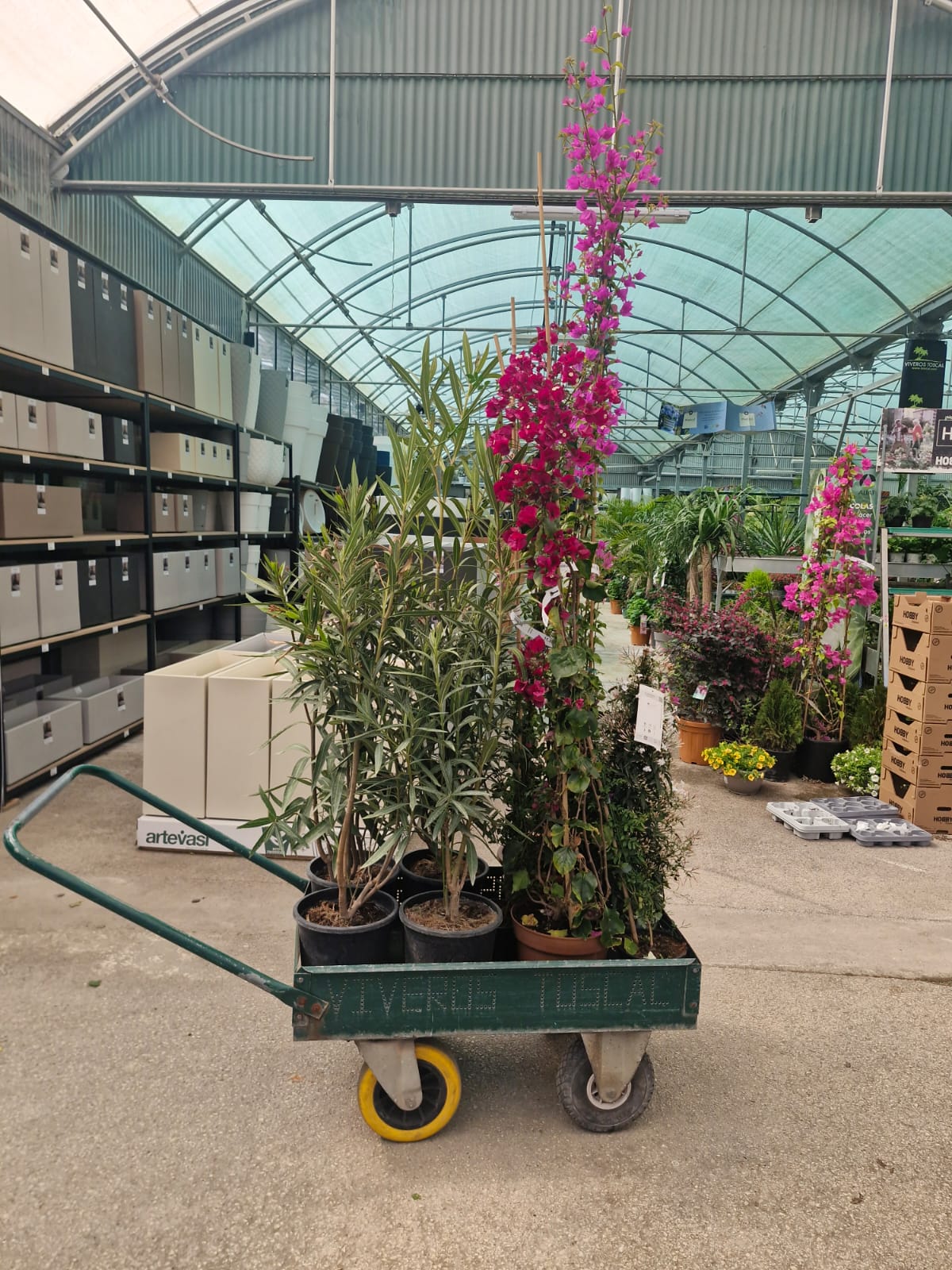 Plant nursery cart
